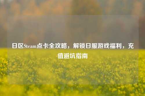 日区Steam点卡全攻略，解锁日服游戏福利，充值避坑指南