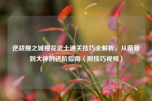 逆战樱之城樱花武士通关技巧全解析，从萌新到大神的进阶指南（附技巧视频）