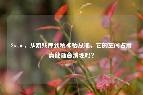 Steam，从游戏库到精神栖息地，它的空间占用真能随意清理吗？