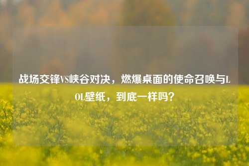 战场交锋VS峡谷对决，燃爆桌面的使命召唤与LOL壁纸，到底一样吗？