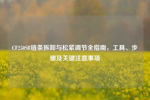 CF250SR链条拆卸与松紧调节全指南,工具、步骤及关键注意事项