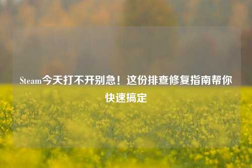 Steam今天打不开别急！这份排查修复指南帮你快速搞定