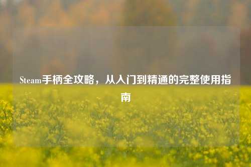 Steam手柄全攻略，从入门到精通的完整使用指南