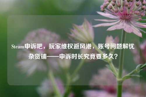 Steam申诉吧，玩家维权避风港，账号问题解忧杂货铺——申诉时长究竟要多久？
