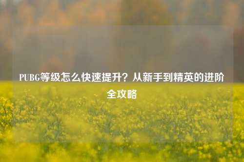 PUBG等级怎么快速提升?从新手到精英的进阶全攻略
