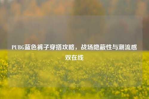 PUBG蓝色裤子穿搭攻略,战场隐蔽性与潮流感双在线