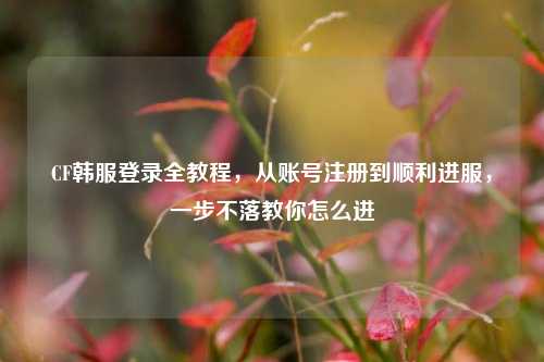 CF韩服登录全教程，从账号注册到顺利进服，一步不落教你怎么进