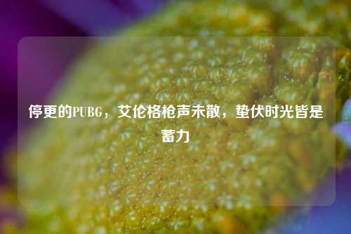 停更的PUBG,艾伦格枪声未散,蛰伏时光皆是蓄力