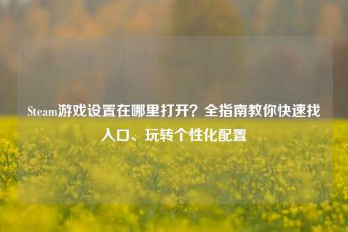 Steam游戏设置在哪里打开?全指南教你快速找入口、玩转个性化配置