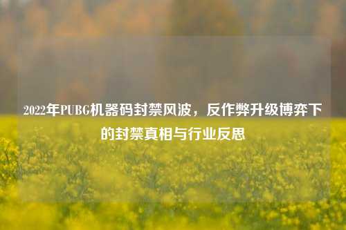 2022年PUBG机器码封禁风波，反作弊升级博弈下的封禁真相与行业反思