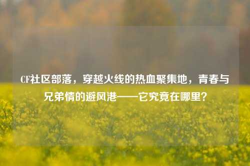 CF社区部落，穿越火线的热血聚集地，青春与兄弟情的避风港——它究竟在哪里？