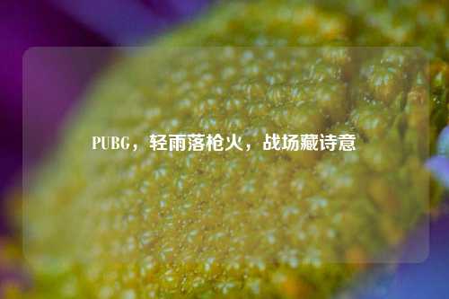 PUBG，轻雨落枪火，战场藏诗意