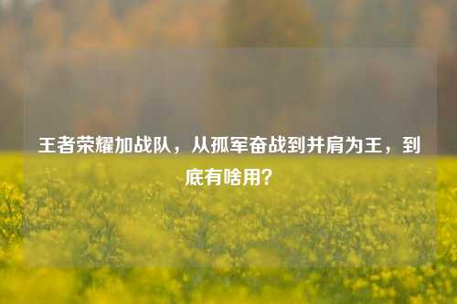 王者荣耀加战队，从孤军奋战到并肩为王，到底有啥用？