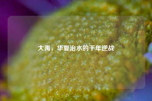 大禹，华夏治水的千年逆战