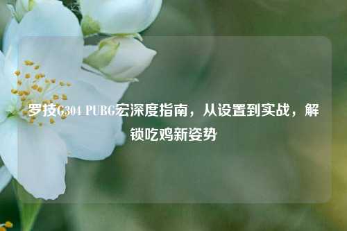 罗技G304 PUBG宏深度指南，从设置到实战，解锁吃鸡新姿势