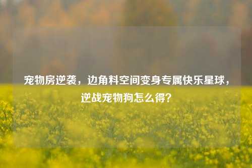 宠物房逆袭，边角料空间变身专属快乐星球，逆战宠物狗怎么得？