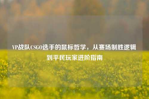 VP战队CSGO选手的鼠标哲学,从赛场制胜逻辑到平民玩家进阶指南