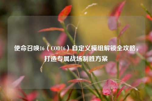 使命召唤16（COD16）自定义模组解锁全攻略，打造专属战场制胜方案