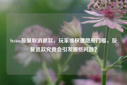 Steam反复取消退款,玩家维权遭隐形门槛,反复退款究竟会引发哪些问题?