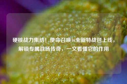 硬核战力集结!使命召唤16全新特战包上线,解锁专属战场传奇,一文看懂它的作用
