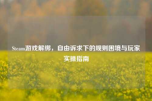 Steam游戏解绑，自由诉求下的规则困境与玩家实操指南