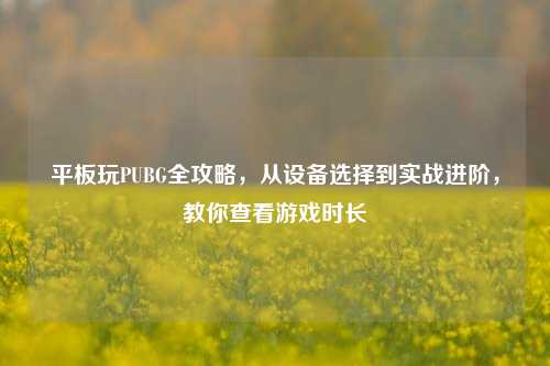 平板玩PUBG全攻略,从设备选择到实战进阶,教你查看游戏时长