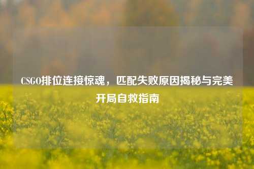 CSGO排位连接惊魂，匹配失败原因揭秘与完美开局自救指南