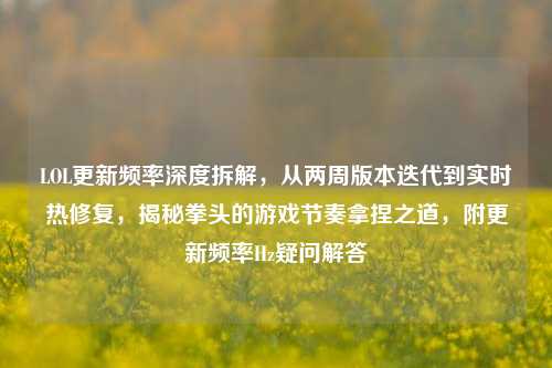 LOL更新频率深度拆解,从两周版本迭代到实时热修复,揭秘拳头的游戏节奏拿捏之道,附更新频率Hz疑问解答