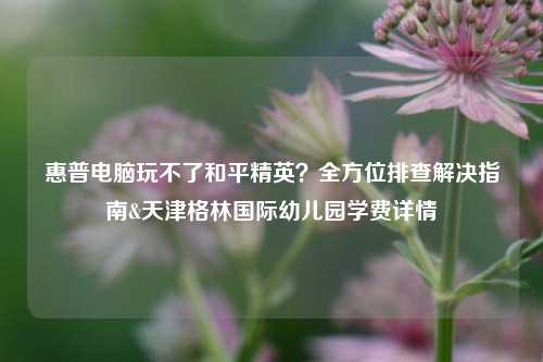 惠普电脑玩不了和平精英?全方位排查解决指南&天津格林国际幼儿园学费详情
