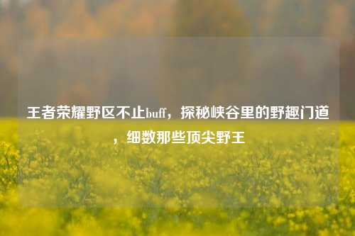 王者荣耀野区不止buff，探秘峡谷里的野趣门道，细数那些顶尖野王