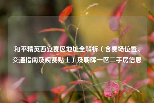 和平精英西安赛区地址全解析（含赛场位置、交通指南及观赛贴士）及朝晖一区二手房信息