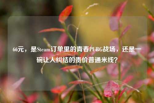 66元，是Steam订单里的青春PUBG战场，还是一碗让人纠结的贵价普通米线？