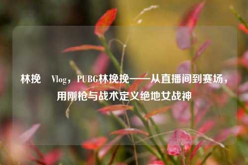 林挽風Vlog，PUBG林挽挽——从直播间到赛场，用刚枪与战术定义绝地女战神