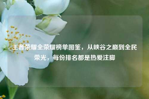 王者荣耀全荣耀榜单图鉴，从峡谷之巅到全民荣光，每份排名都是热爱注脚