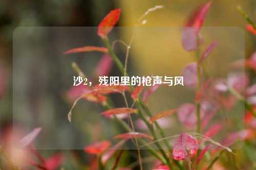 沙2，残阳里的枪声与风