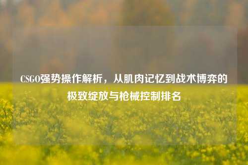 CSGO强势操作解析，从肌肉记忆到战术博弈的极致绽放与枪械控制排名