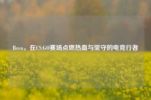Bren，在CS:GO赛场点燃热血与坚守的电竞行者