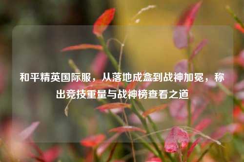 和平精英国际服，从落地成盒到战神加冕，称出竞技重量与战神榜查看之道