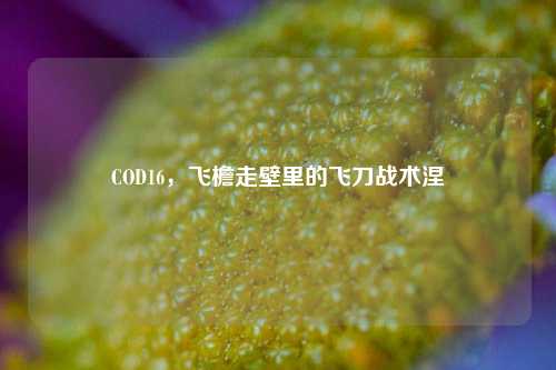COD16，飞檐走壁里的飞刀战术涅槃