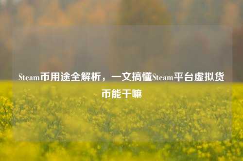 Steam币用途全解析,一文搞懂Steam平台虚拟货币能干嘛