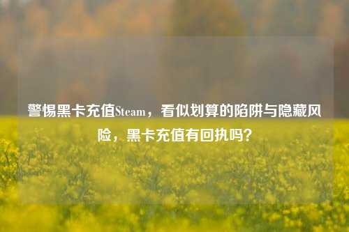 警惕黑卡充值Steam，看似划算的陷阱与隐藏风险，黑卡充值有回执吗？