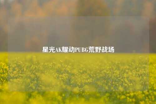 星光AK耀动PUBG荒野战场