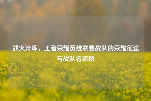 战火淬炼，王者荣耀英雄联赛战队的荣耀征途与战队名探秘