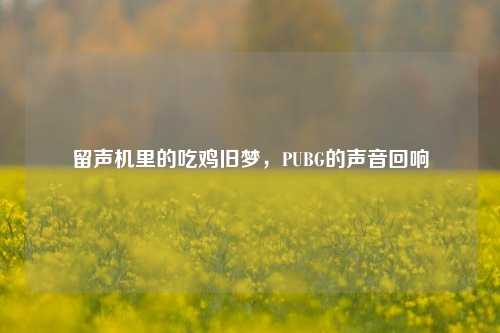 留声机里的吃鸡旧梦，PUBG的声音回响