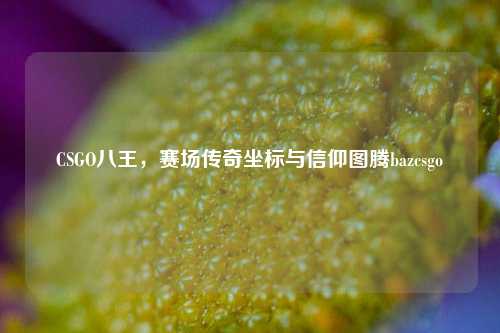 CSGO八王,赛场传奇坐标与信仰图腾bazcsgo