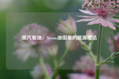 蒸汽驱油，Steam油田里的能源魔法