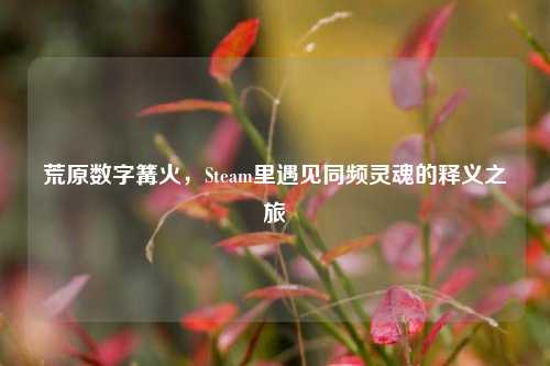 荒原数字篝火,Steam里遇见同频灵魂的释义之旅