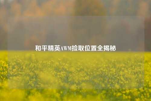 和平精英AWM捡取位置全揭秘