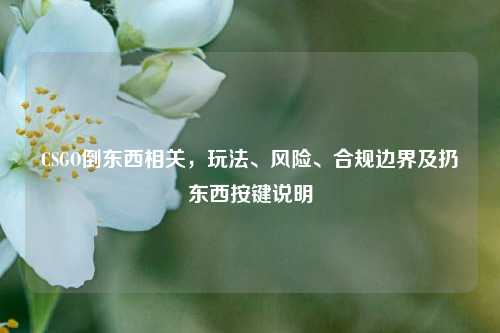 CSGO倒东西相关,玩法、风险、合规边界及扔东西按键说明
