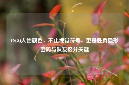 CSGO人物颜色,不止视觉符号,更是胜负隐形密码与队友区分关键